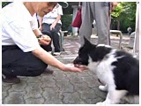 s[ 傤̂ ʐ^5