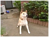  傤̂ ʐ^2
