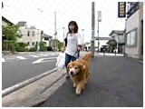 ^[ 傤̂ ʐ^3