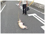 i~ 傤̂ ʐ^5