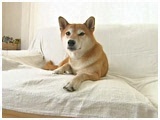 ݂ 傤̂ ʐ^2