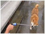 ݂ 傤̂ ʐ^5