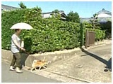 Y 傤̂ ʐ^3