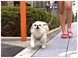 `R 傤̂ ʐ^2