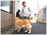 AfB 傤̂ ʐ^5