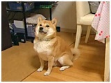 ߂ 傤̂ ʐ^2
