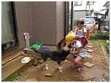 bL[ 傤̂ ʐ^3