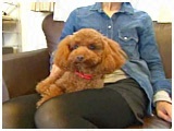 Goody 傤̂ ʐ^2