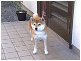  傤̂ ʐ^2