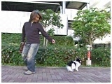 SOLA 傤̂ ʐ^3