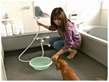 NbL[ 傤̂ ʐ^3