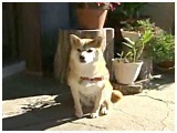  傤̂ ʐ^2