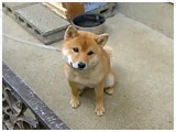 N 傤̂ ʐ^2