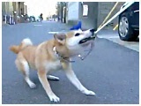 `R 傤̂ ʐ^3