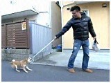`R 傤̂ ʐ^5