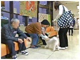 o 傤̂ ʐ^3