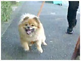݂ 傤̂ ʐ^3