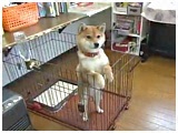 bL[ 傤̂ ʐ^2