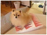 E^ 傤̂ ʐ^2