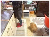 E^ 傤̂ ʐ^3