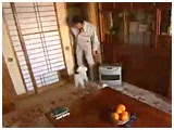 I 傤̂ ʐ^5