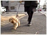sNV[ 傤̂ ʐ^2