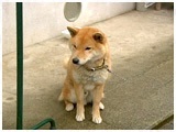 TV 傤̂ ʐ^2