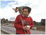 JC 傤̂ ʐ^5