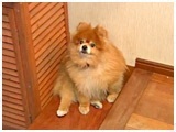 N 傤̂ ʐ^2