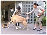 Ԏq 傤̂ ʐ^3