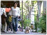 P][ 傤̂ ʐ^3