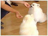 ݂͂ 傤̂ ʐ^4