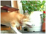  傤̂ ʐ^3
