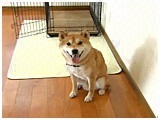 E 傤̂ ʐ^2
