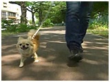 AW 傤̂ ʐ^2