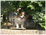 psB 傤̂ ʐ^3
