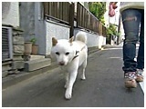 @ 傤̂ ʐ^2