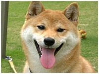 ^[ 傤̂ ʐ^1