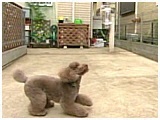 NbL[ 傤̂ ʐ^4