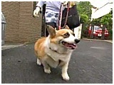 t@~[ 傤̂ ʐ^2