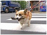 t@~[ 傤̂ ʐ^4
