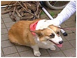 t@~[ 傤̂ ʐ^5