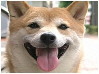  傤̂ ʐ^1