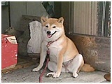  傤̂ ʐ^2