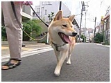  傤̂ ʐ^5