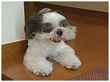 那 傤̂ ʐ^5