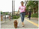 ͂邨 傤̂ ʐ^2