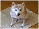 R 傤̂ ʐ^2