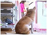 R 傤̂ ʐ^3