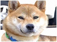 WbN 傤̂ ʐ^1